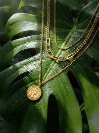Aurelia Münzkette tropisches Flatlay - Goldene Layering-Kette auf Monstera-Blatt mit Wassertropfen frisches Naturdesign
