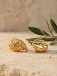 Golden Shell Ohrringe Struktur – Vorderseite mit Spiralmuster und hohle Rueckseite mit Stecker auf Sandstein, Olivenzweig