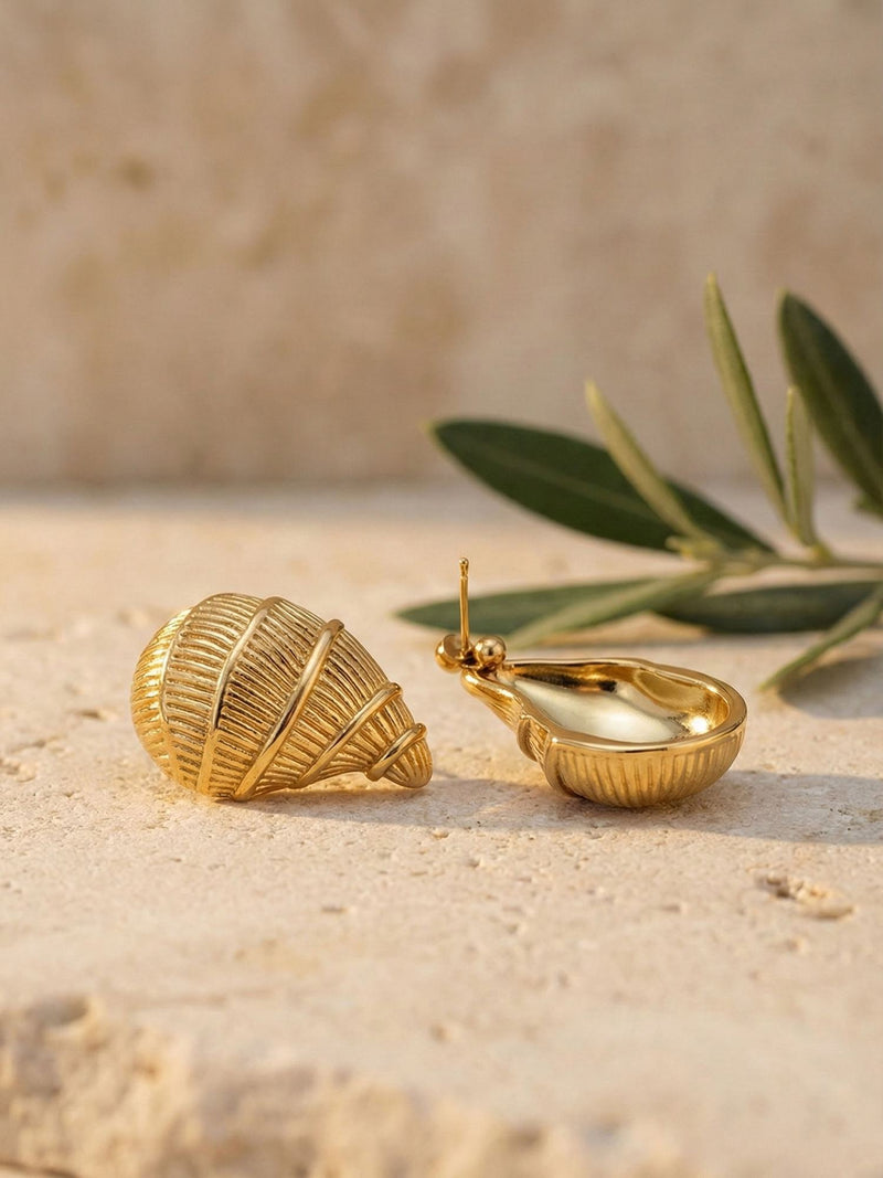 Golden Shell Ohrringe Struktur – Vorderseite mit Spiralmuster und hohle Rueckseite mit Stecker auf Sandstein, Olivenzweig
